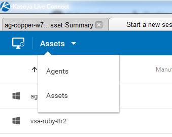 Manage Servers To switch to the Assets view, use the drop-down filter on the Agent/Asset Browser page.