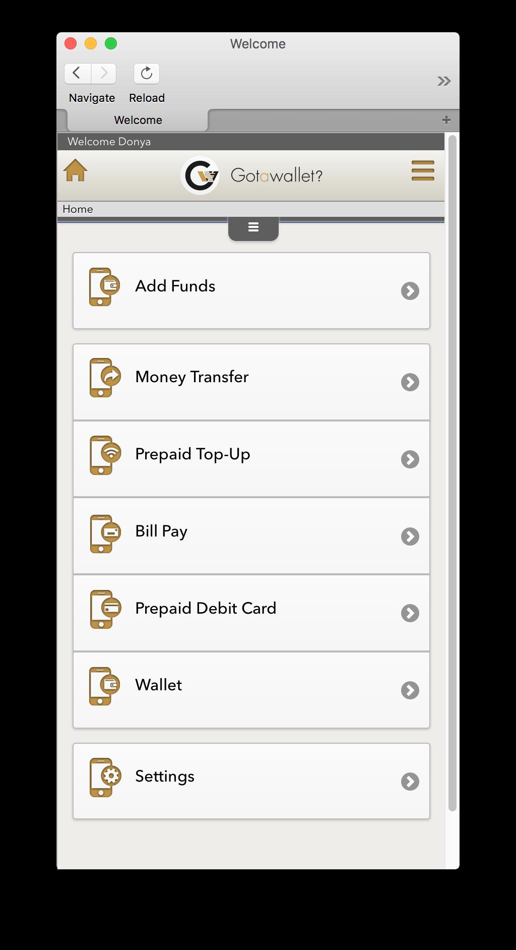 Bringing multiple MFS in to one simple solution (Mobile, Tablet or Desktop) Telecom Mobile telecom account management and payment Prepaid Debit Card Prepaid Debit Card with Cash-in and Cash-out Money