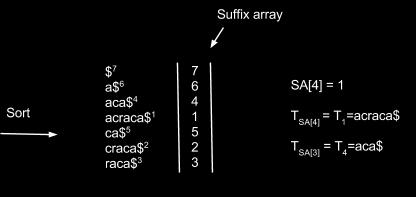 Ways to represent Nodes: O(m) Using arrays at each node (Fastest Search) O(m* ) Using linked list at each node O(m*log ) binary tree (Sigma is very small compared to total length of the sequence)