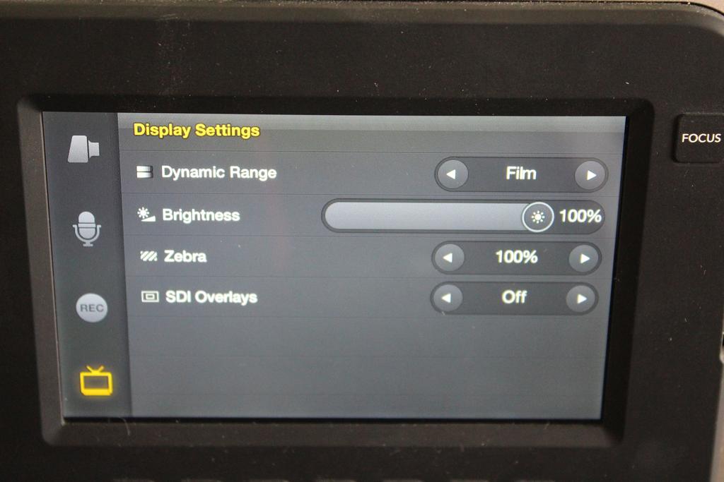 Display Settings: Dynamic Range: Changes the dynamic range you see on screen, independent of recording.