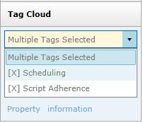 If you have created a large number of call tags, or one particular tag occurs very frequently, the Tag Cloud may not display correctly.