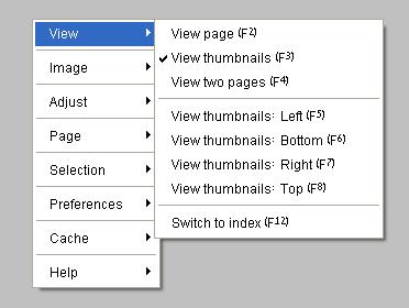 Menus When ViewONE is used within a browser then pop-up menus are accessed by pressing mouse button two or three.