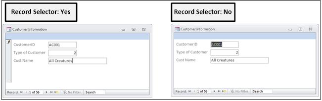 17.1 FORM FORMAT PROPERTIES 217 Record Selectors (Yes/No) Displays important status information visually, such as unsaved data, saved data, active record, and locked record.