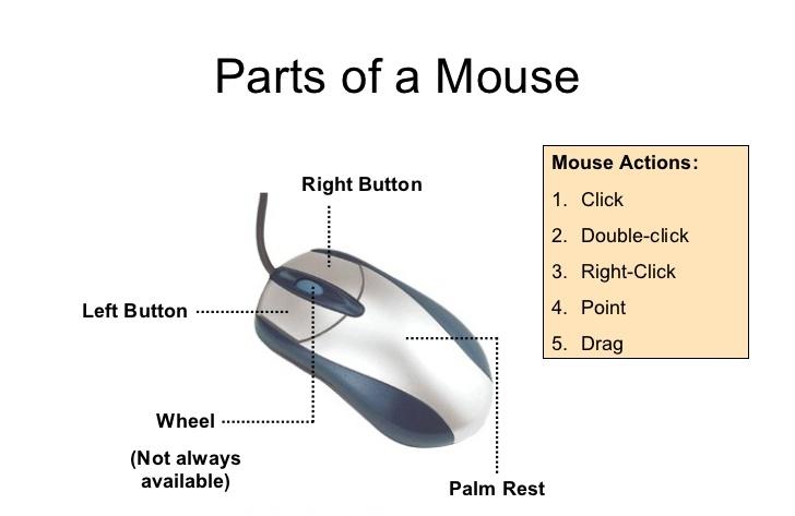 Mouse Operations Mouse Actions Click Selects an icon or menu Double Click Opens an icon Right Click Opens the context menu Left Drag Used to draw or