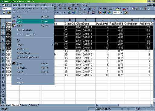 To create a more presentable document, you can use Sheet 2 in Excel and the Paste Special feature to create a link between Sheet 1 and Sheet