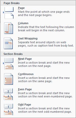 Column Section breaks: Next page