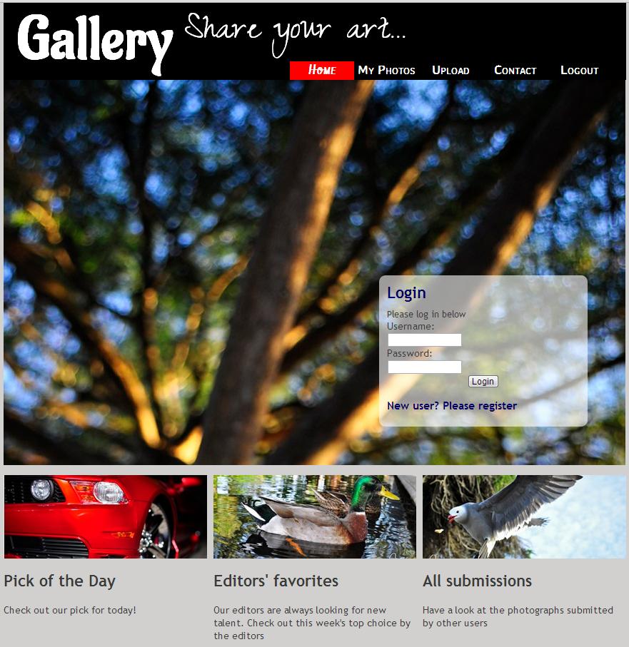 Introduction Gallery Application Details Navigations Login a user Registeration for a new user My