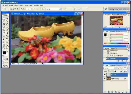 Bitmap Graphic Editor Examples Adobe