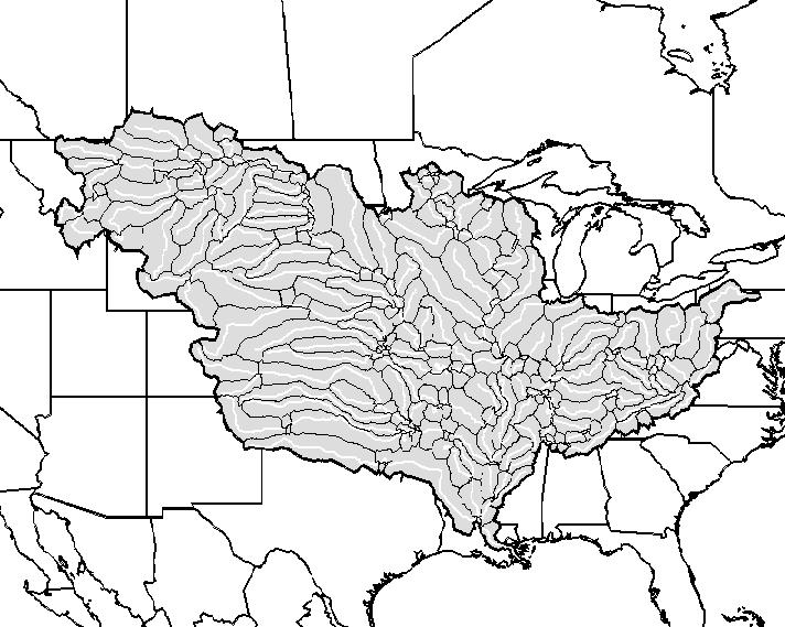 of gray. Drainage areas for individual arcs or stream segments (b).