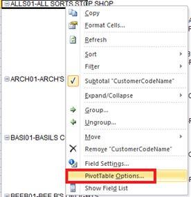 To see, use the filter fields that relate to the new database you need to change the Data Options of the PivotTable before exporting the report and importing it into your