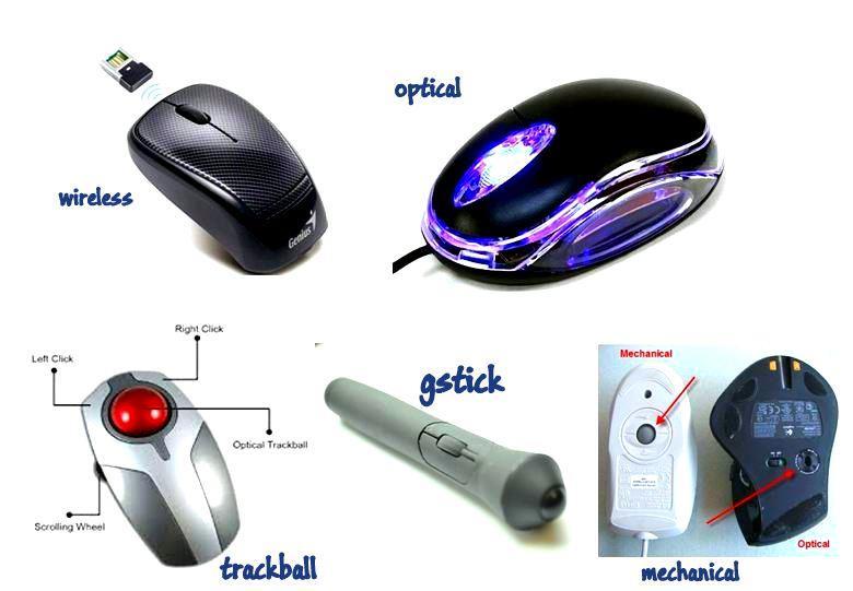 11 Type of Mouse