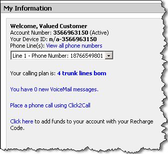 The upper-left section of the My Information page displays Account Information, including the customer s account number and calling plan.