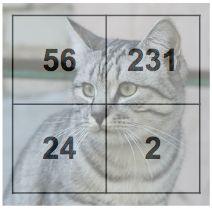 Example with an image with 4 pixels, and 3 classes (cat/dog/ship) Input image Algebraic Viewpoint