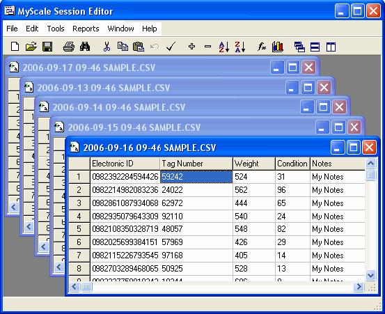 Window menu Click Window in the MyScale Session Editor to display the drop down Window menu. Cascade Arranges the open files in a cascade.