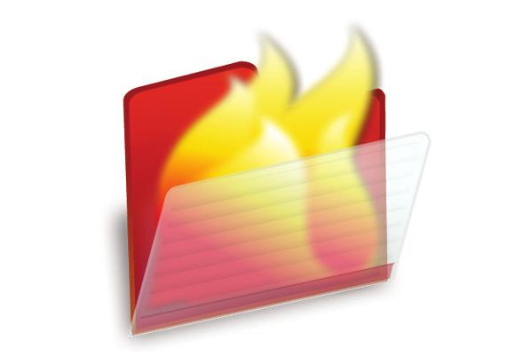 Fiery IC-415 servers: Optional features While these features are standard on external Fiery servers, you may add them as options to embedded servers.