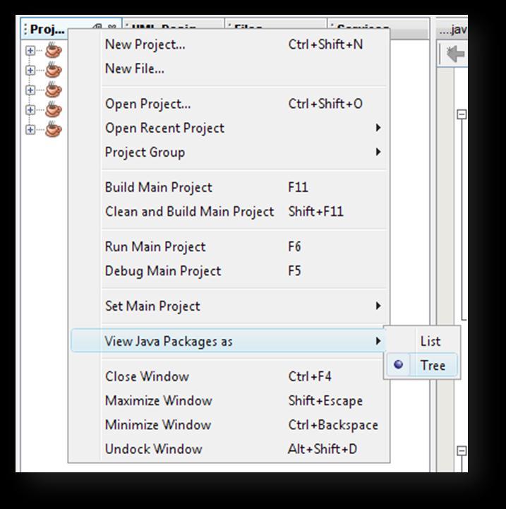 If you wish to use this view, right click on the Projects tab and then select View Java Packages as: and finally select Tree.