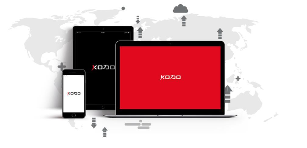 Overview In this white paper, we present Storware KODO for Knox, the platform which enriches existing Knox offering with new layer of features.