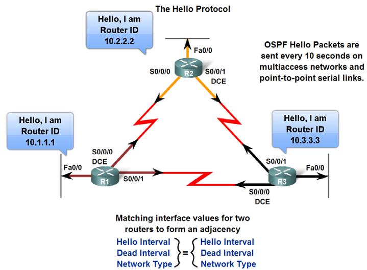 Introduction to OSPF Hello Packets Maintain adjacencies and set Designated Router OSPF Hello Intervals Usually multicast (224.0.