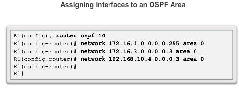 Configure Single-area OSPFv2 The network Command This activates OSPF (sends out HELLOs) on interfaces connected to subnets 172.16.1.0/24, 172.16.3.0/30 and 192.168.