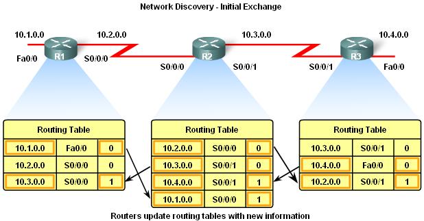 Network Discovery Initial Exchange of Routing Information If a routing protocol is configured then -Routers will exchange routing information Routing updates received from other routers -Router