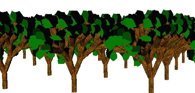 In this section we present a hybrid model for the foreground trees, the tree structure is generated by an l-system and leaves by the
