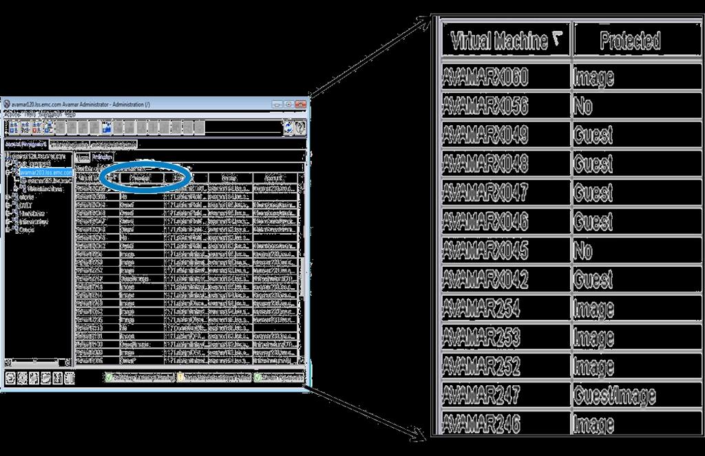 vcenter Integration Manage data protection, and contain virtual machine sprawl Browse to VMware vcenter via the Avamar UI Auto-discover VM