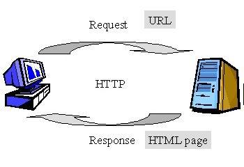 The Basic Web Server CMPUT