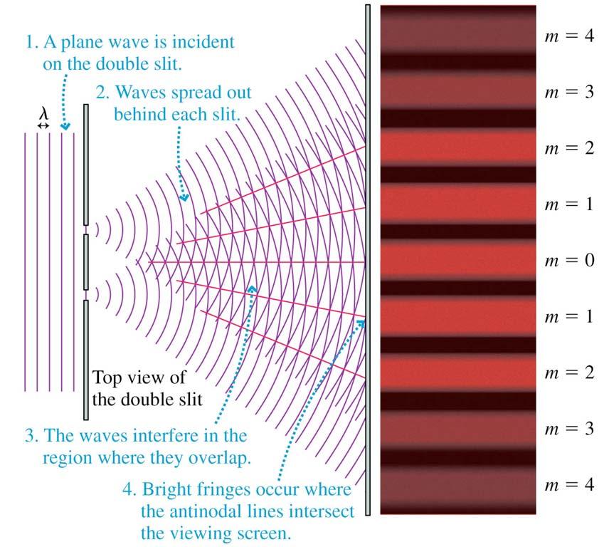 Analyzing Double-Slit Interference (cont.