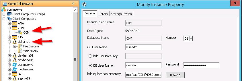 Instance credentials can be verified or modified under the Modify Instance Property General Tab.