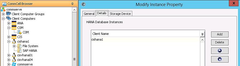 The Details tab will identify linked SAP HANA nodes to the instance.