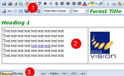 Editing Your Mailshot or Template using the HTML Editor The HTML editor included in Gold-Vision Connect offers WYSIWYG design of HTML content.