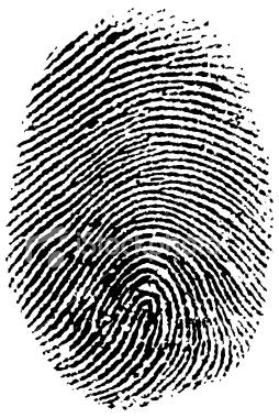 Citations: Your Online Fingerprint 3 Separate Pieces of Data Name +