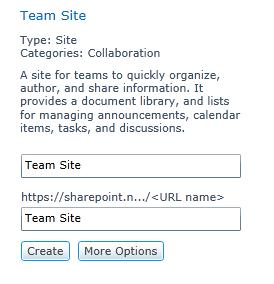 It is advisable at this point to ensure that when you name your site you give the URL the same name as your Team Site shown