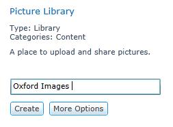 8 Picture Libraries A Picture library enables you to share a collection of digital pictures or graphics. You can link to pictures in your library from elsewhere on your site.