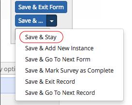 of the consent form. 3) Click on Save & Stay under the form saving options.