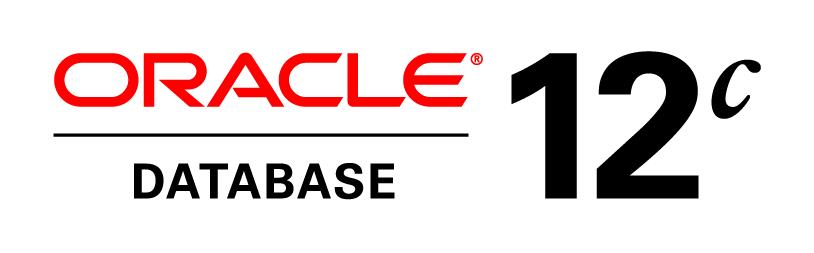 An Oracle White Paper June 2013
