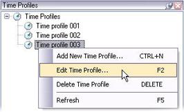 Time Profiles Tip: Instead of right-clicking to select Edit Time Profile, you can select the required time profile and press F2 on your keyboard. This will open the Time Profile window. 2.