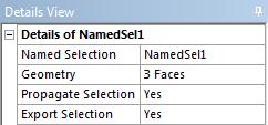 Named Selection In the details view, enter a name for the Named Selection or continue with