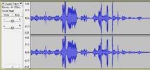 ! When you begin to speak/record your audio, you will notice that a blue sound wave will form on the audio track. This means that Audacity is successfully recording.