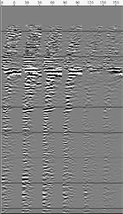 We now show RTM angle gathers for 3D wide-azimuth WAZ Gulf of Mexico data (image in Figure 3(a)) computed using the optical flow algorithm.