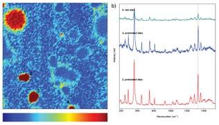 Multivariate Data Processing of Spectral Images: The Ugly, the Bad, and the True The results of various multivariate data-processing methods of Raman maps recorded with a dispersive Raman microscope