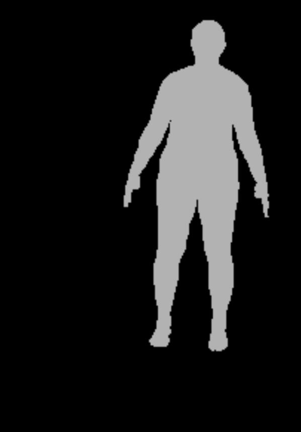 Ziegler, and M. Gross. Hsnets : Estimating human body shape from silhouettes with convolutional neural networks. In Int.
