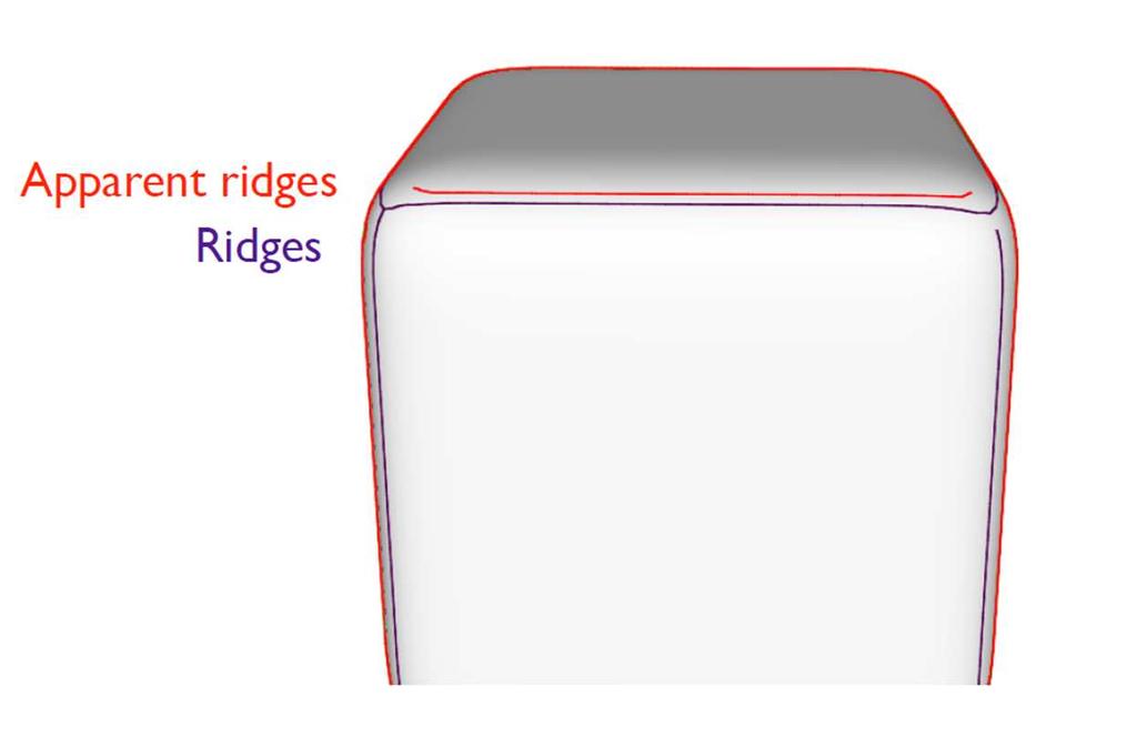 Apparent Ridges Apparent ridges (same as ridges and valleys but