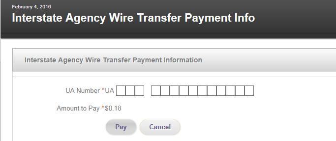 Click the Pay or Pay Now button to submit your payment. After submitting the payment, a short delay may occur while the system processes the payment.
