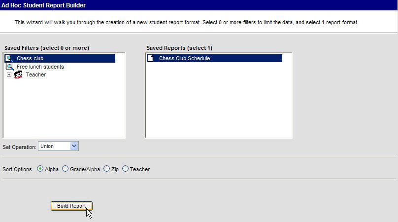 6. Click on the <Build Report> button.