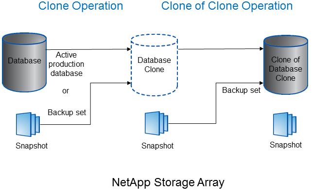 Figure 4) Clone of clone operation.
