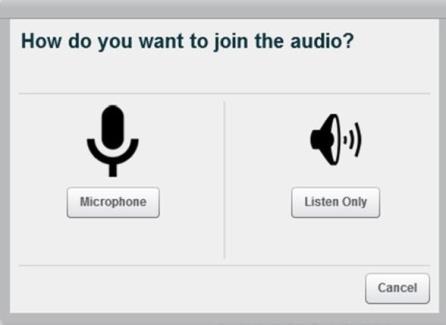 If all of the participants join a meeting with no audio, the telephone dial-in returns the message, You have dialed an invalid