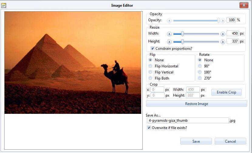 If you wish to display only a portion of the image, you may also use Crop to choose a portion of the image to turn into a new file.