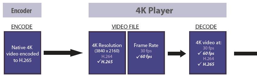 265 HEVC (high efficiency video coding): enables delivery of high-quality 4K content at