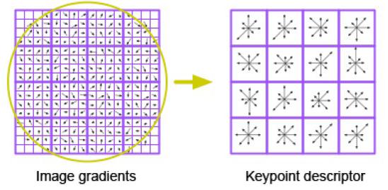 (4) Keypoint Descriptor Descriptor depends on two main